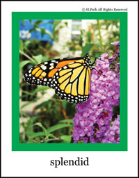 cluster card